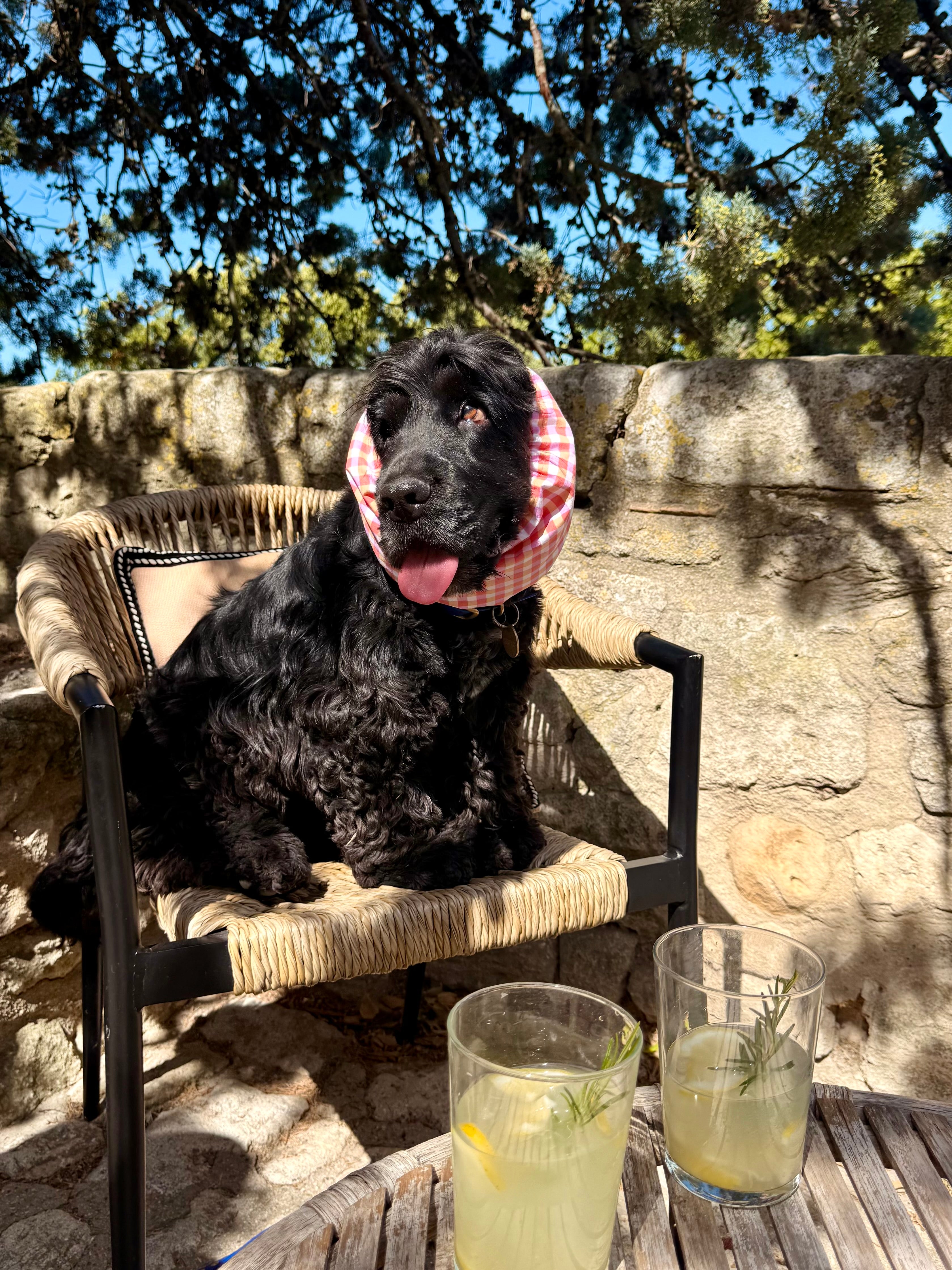 Snoods