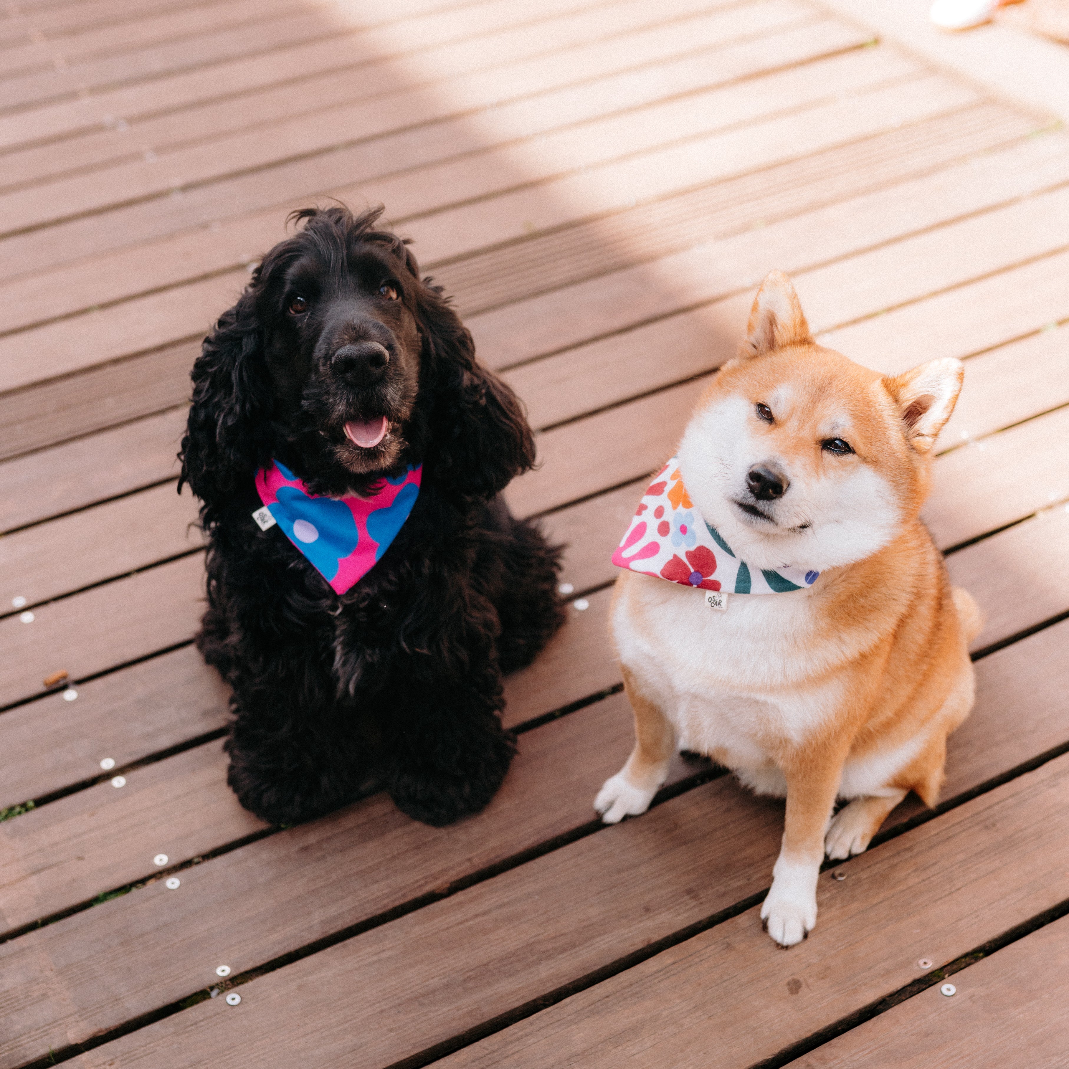 Bandanas Image