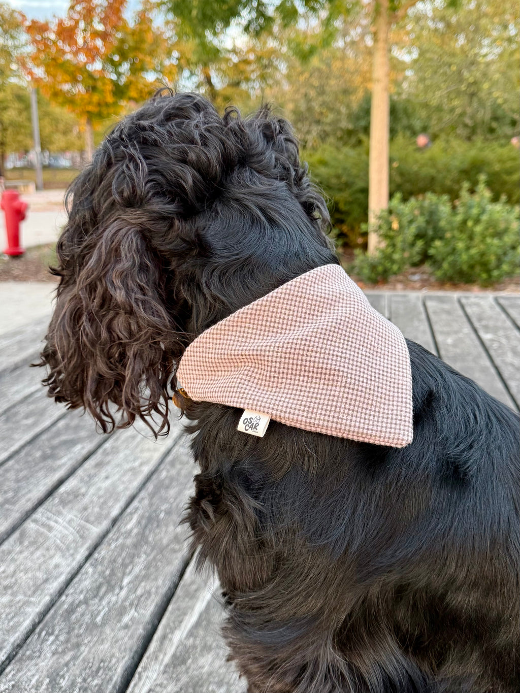 Bandana Vicky