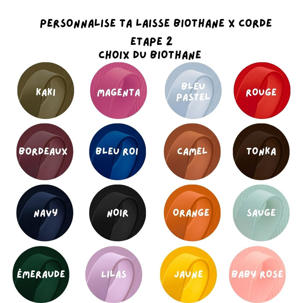 Laisse multi-positions à personnaliser