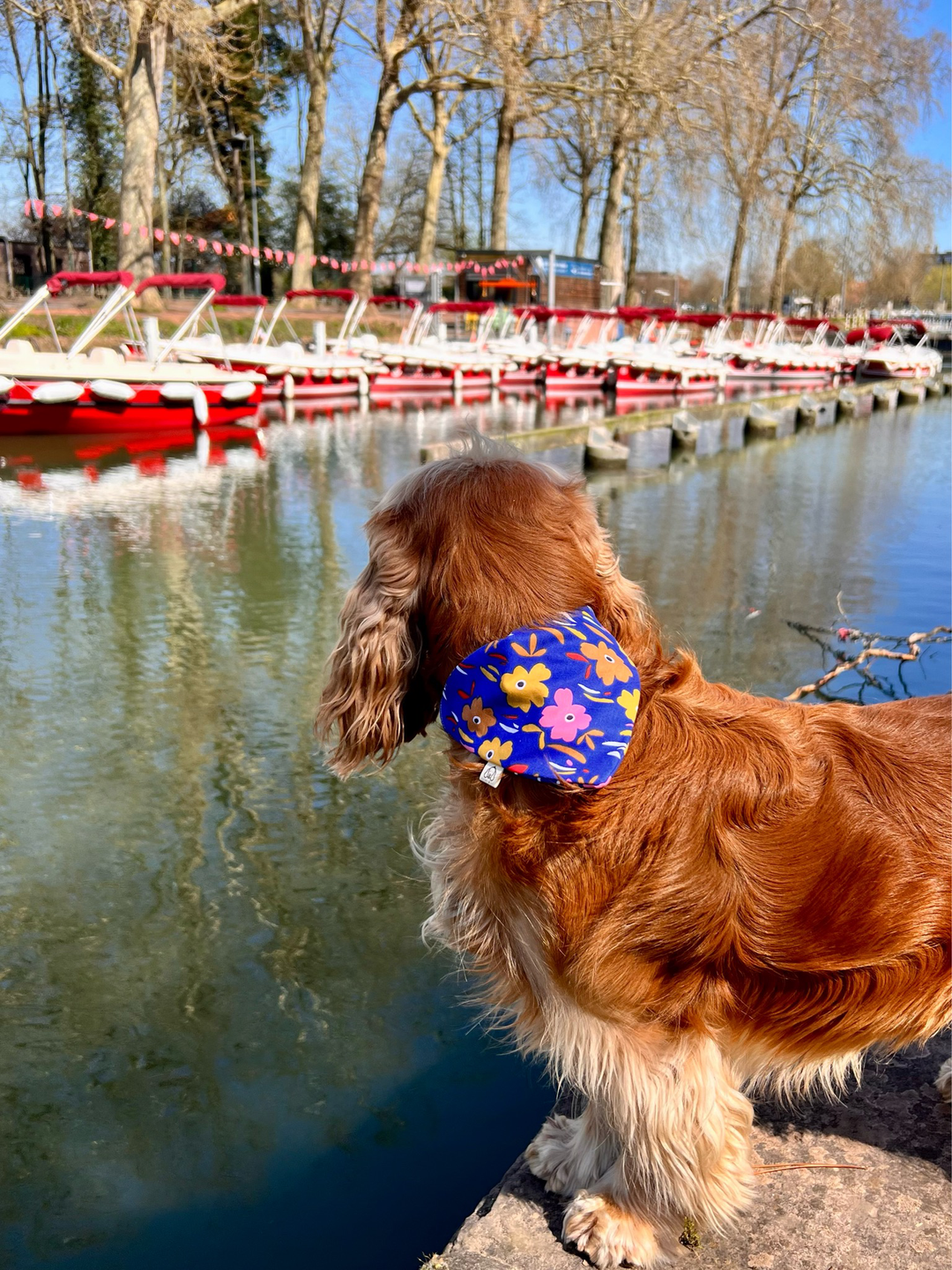 Bandana Bleu Fleuri