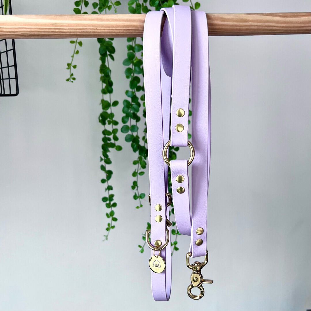 Laisse multi-positions Lilas