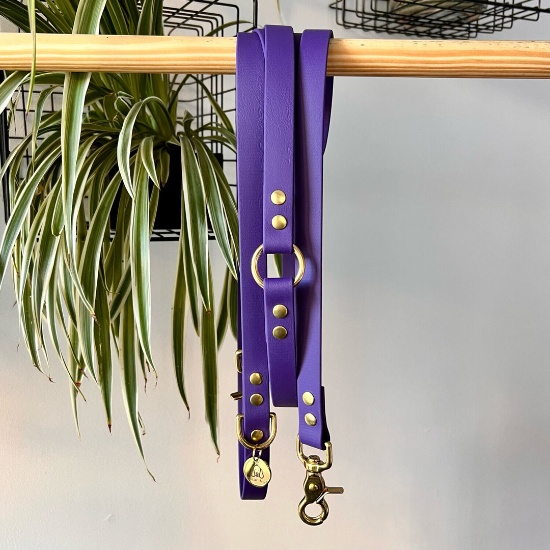 Laisse multi-positions Violette
