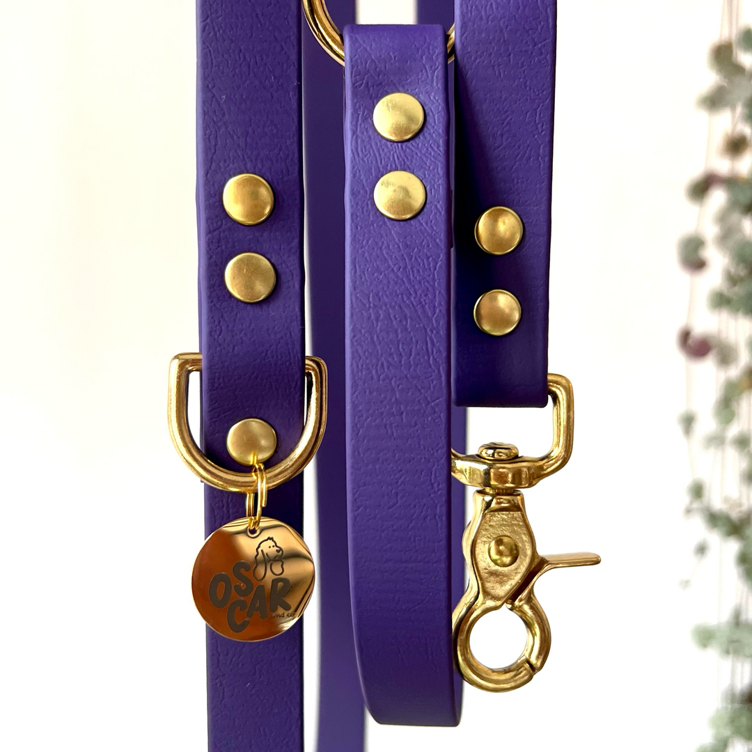Laisse multi-positions Violette