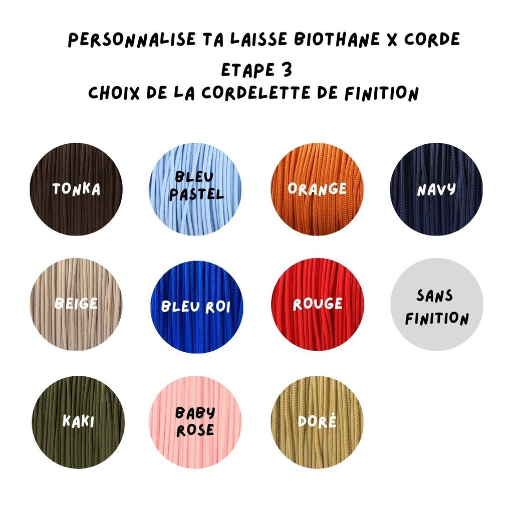 Laisse multi-positions à personnaliser
