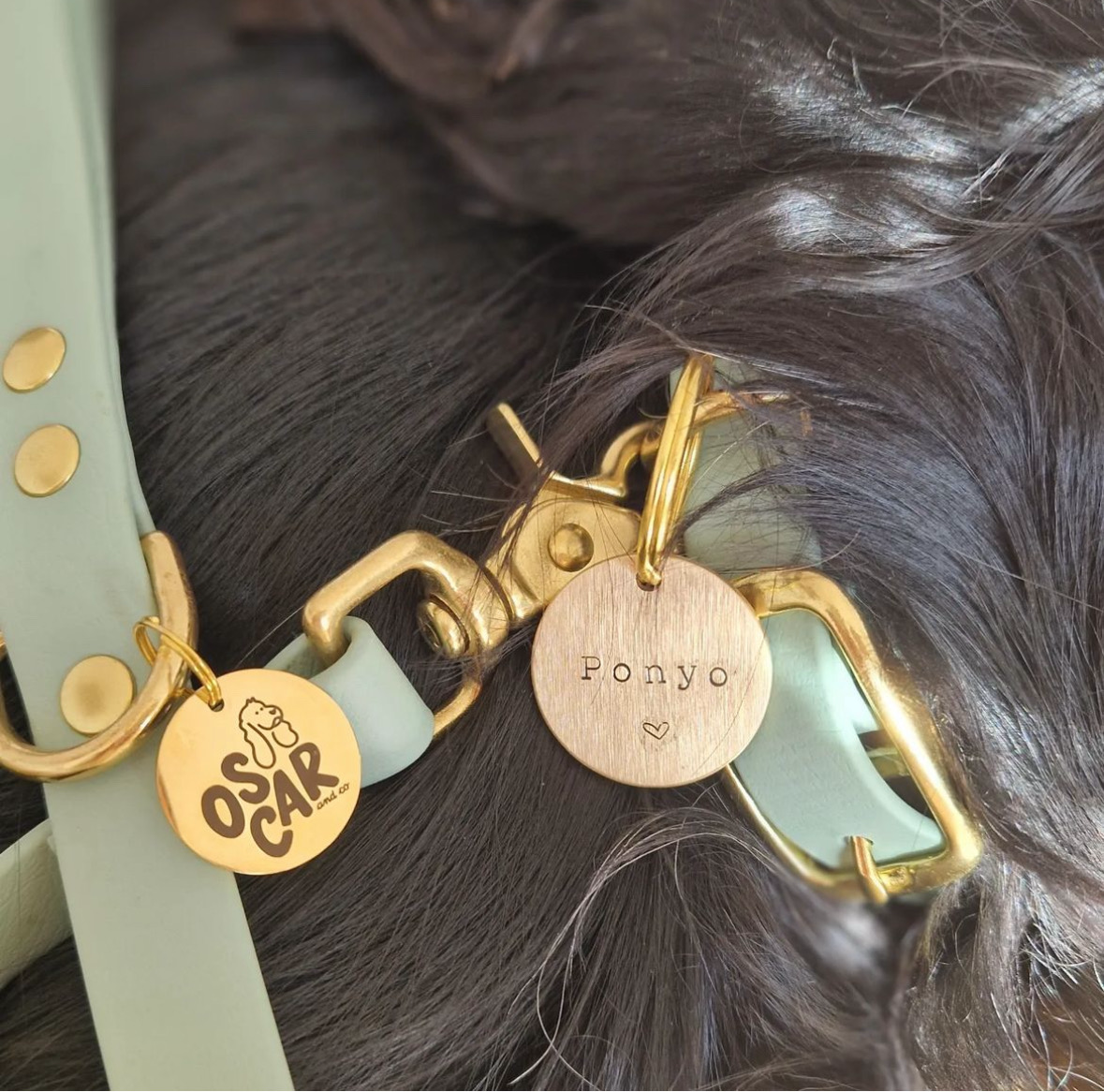 Médaille gravée pour chien