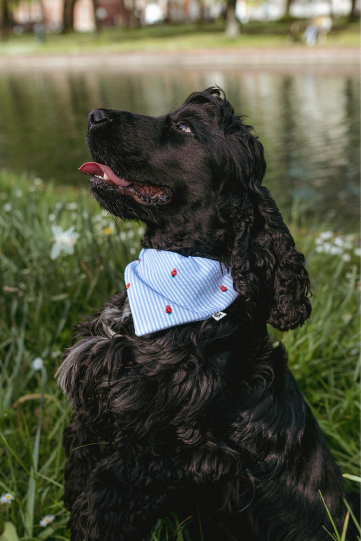 Bandana Françoise