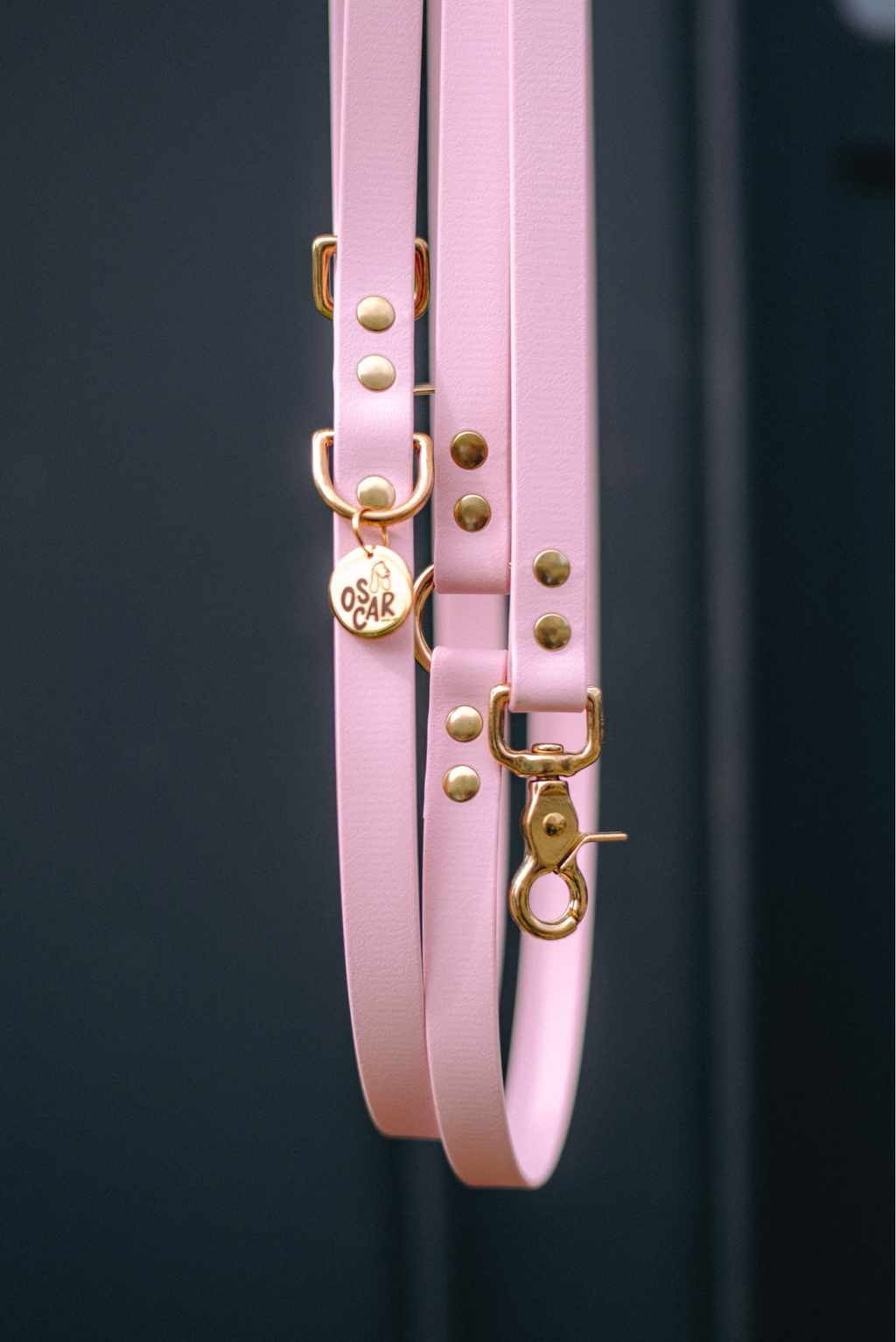Laisse multi-positions baby rose
