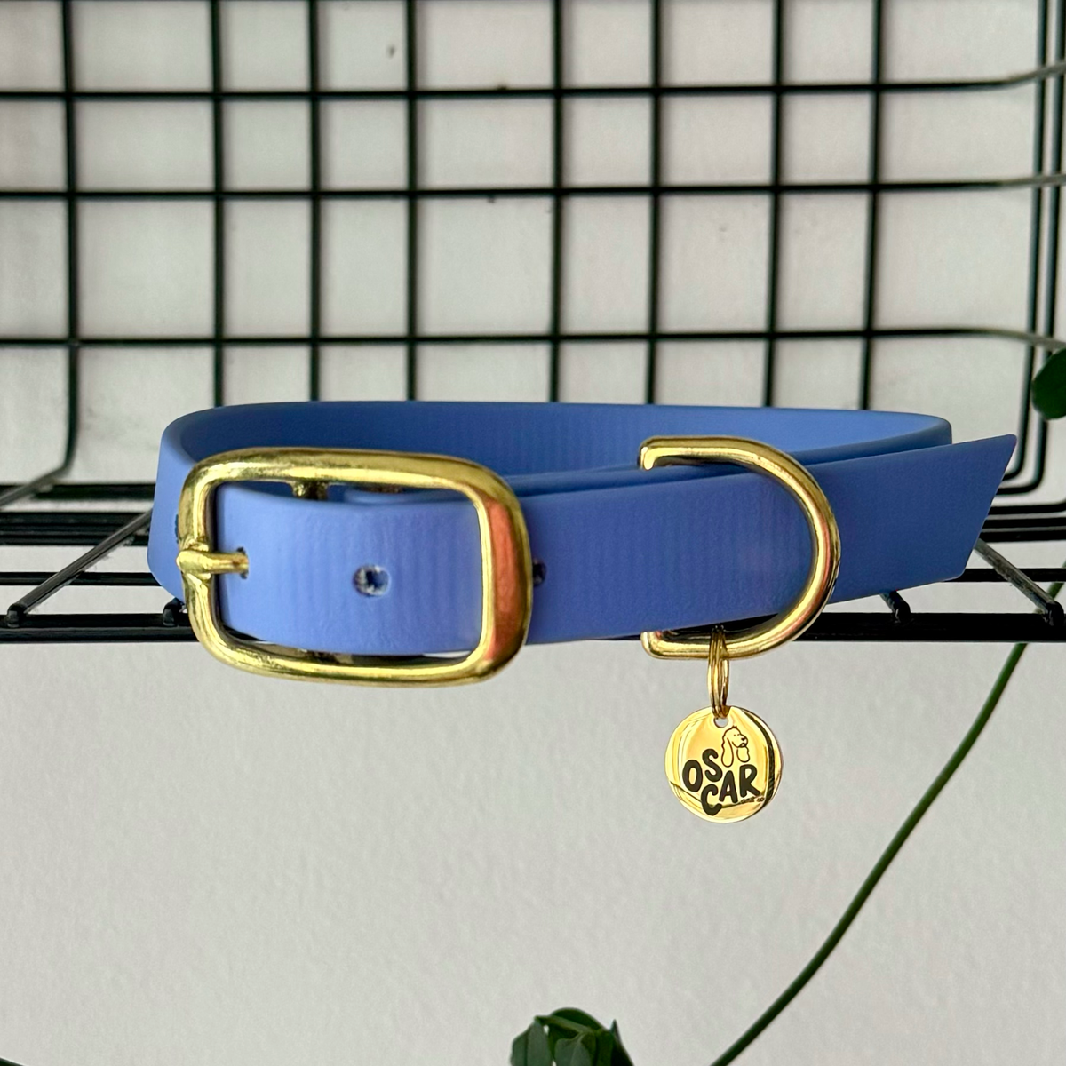 Collier Lavande