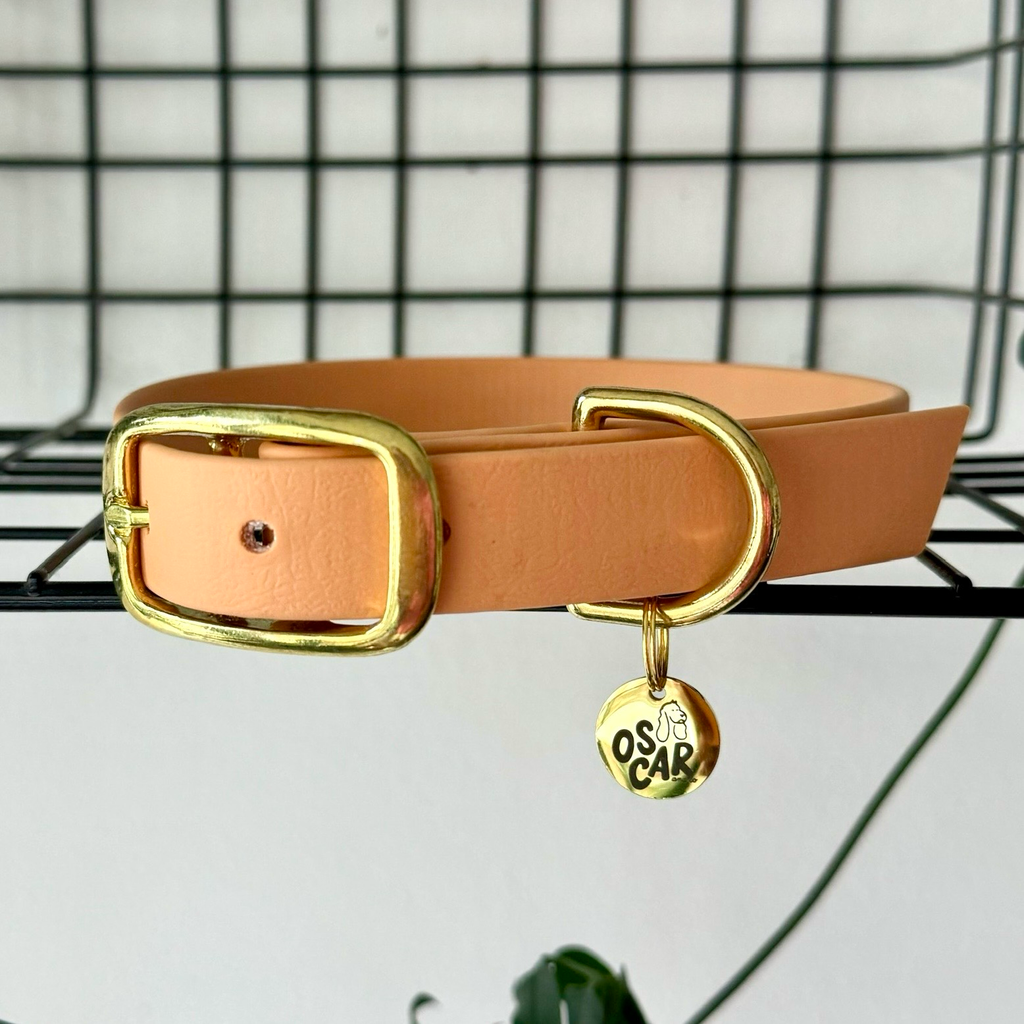 Collier Pêche
