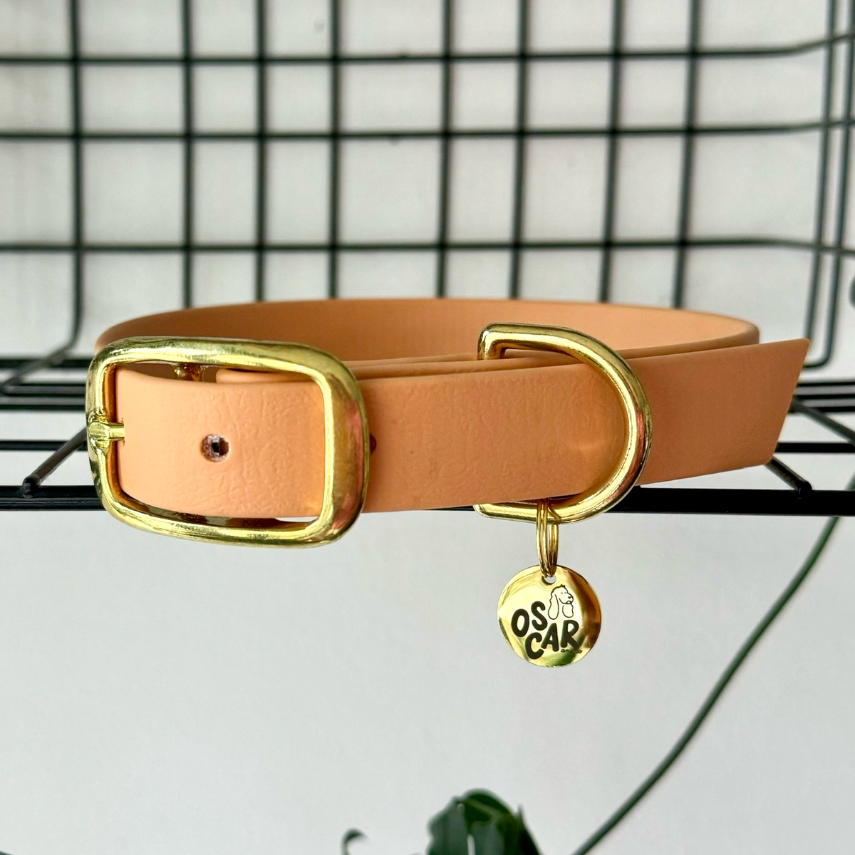 Collier Pêche