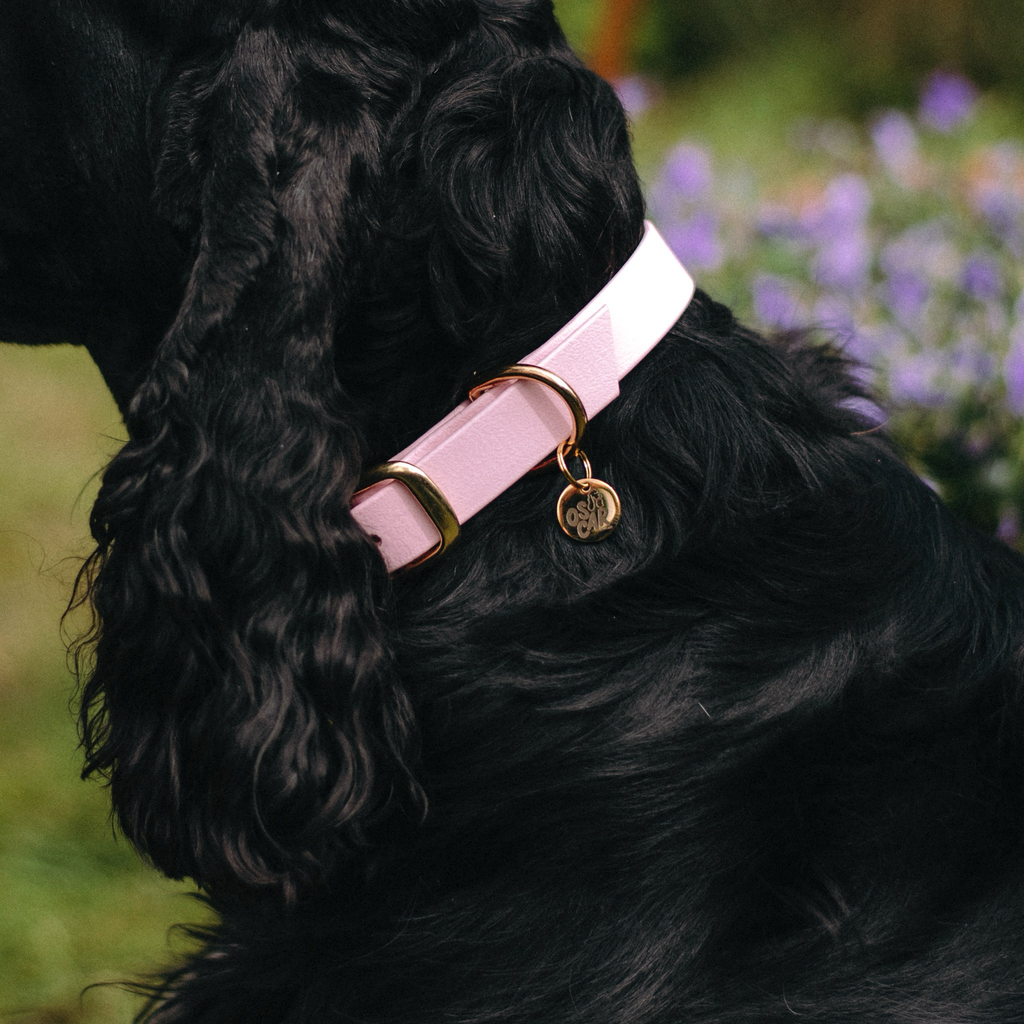 Collier baby rose