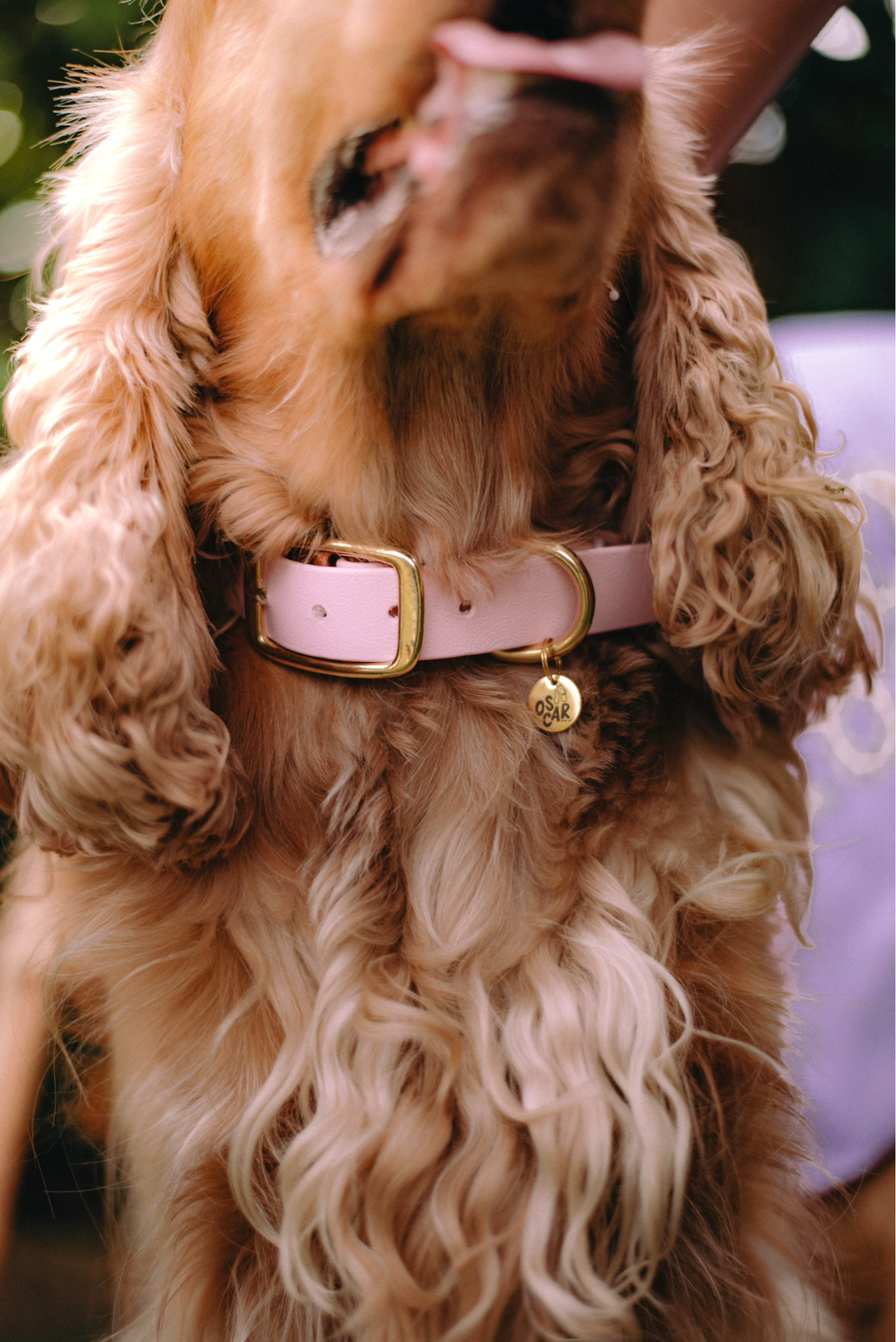 Collier baby rose