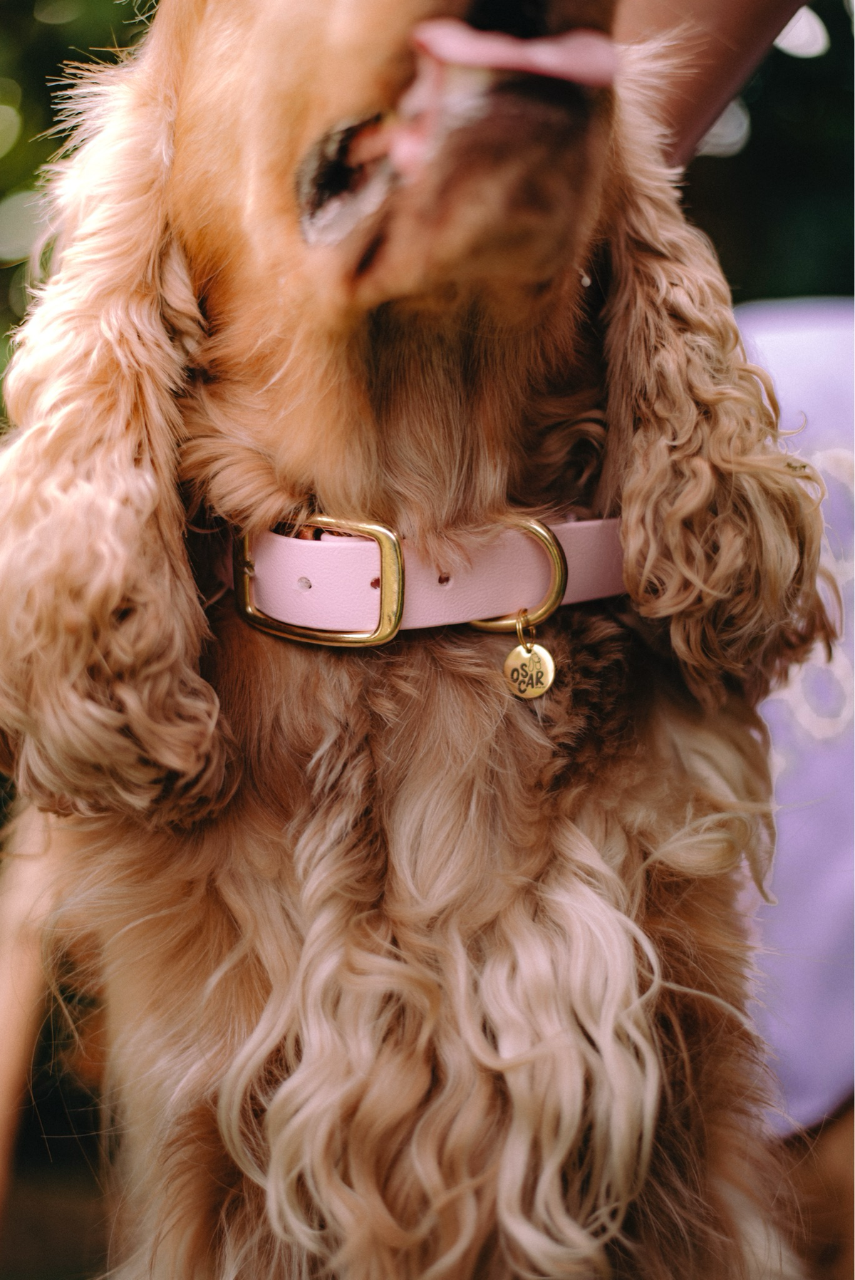 Collier baby rose
