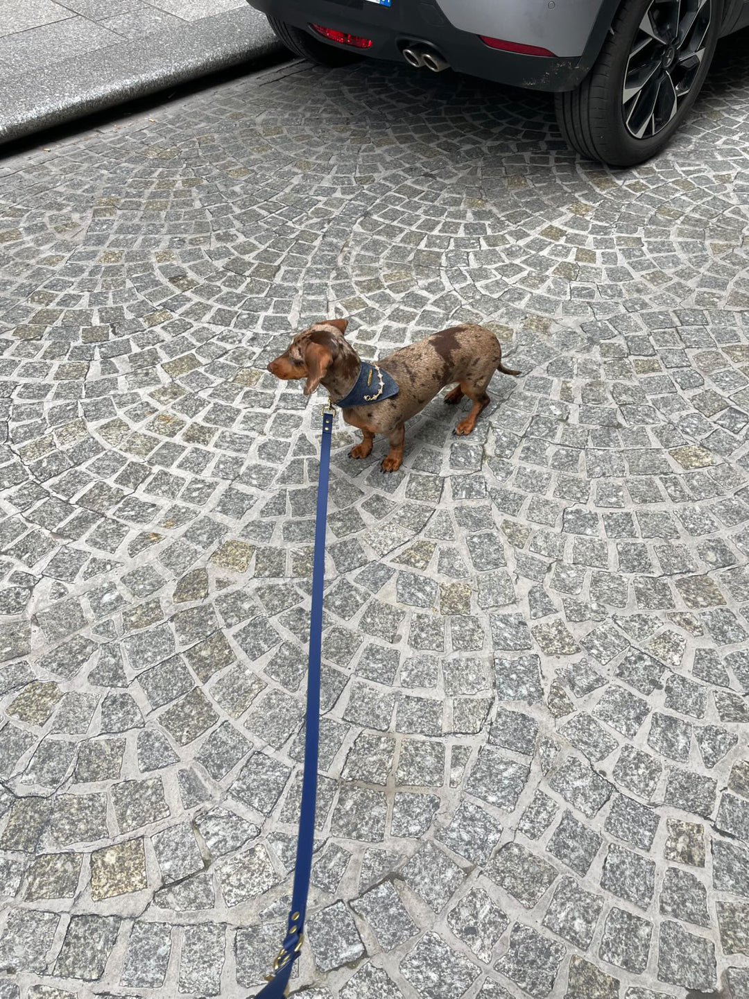 Pack Bandana Aura x Oscar & Co