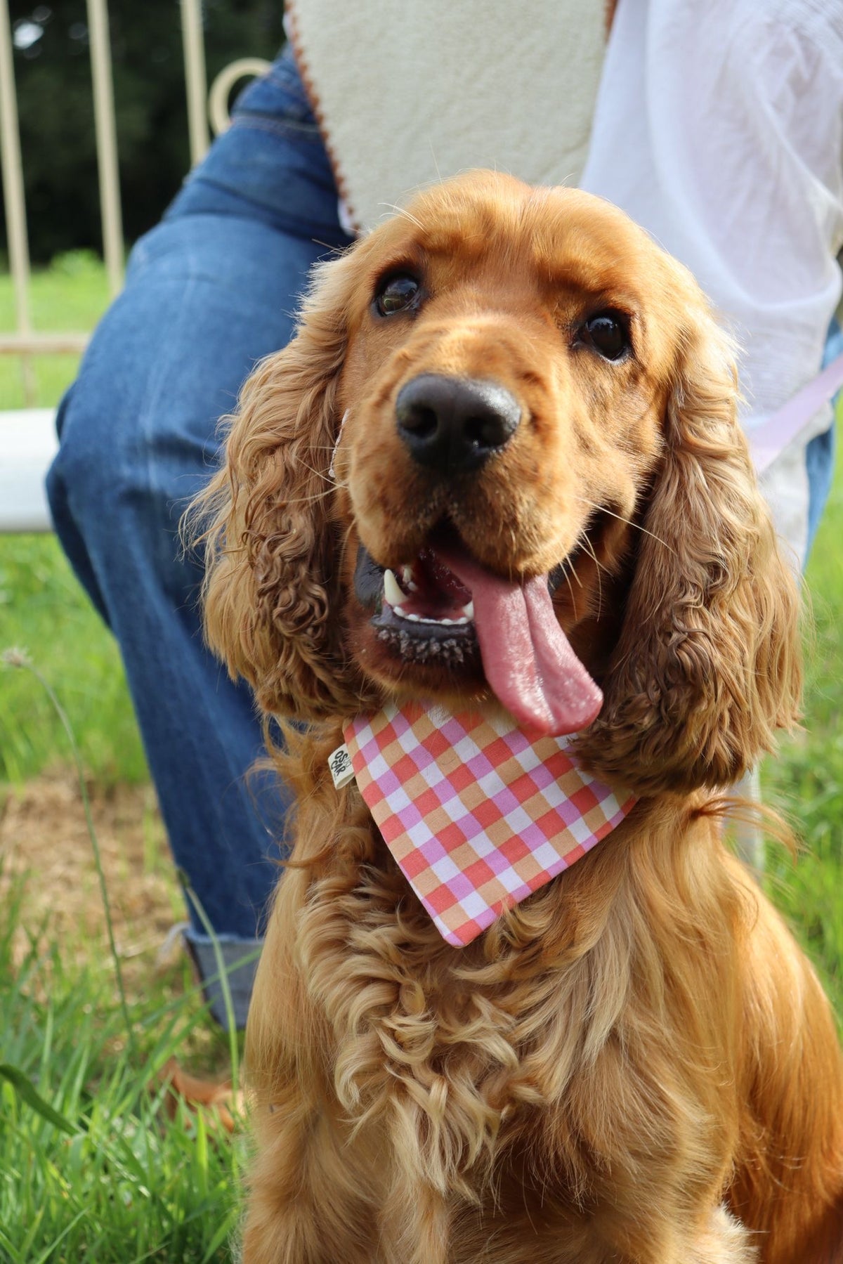 Bandana Vanille