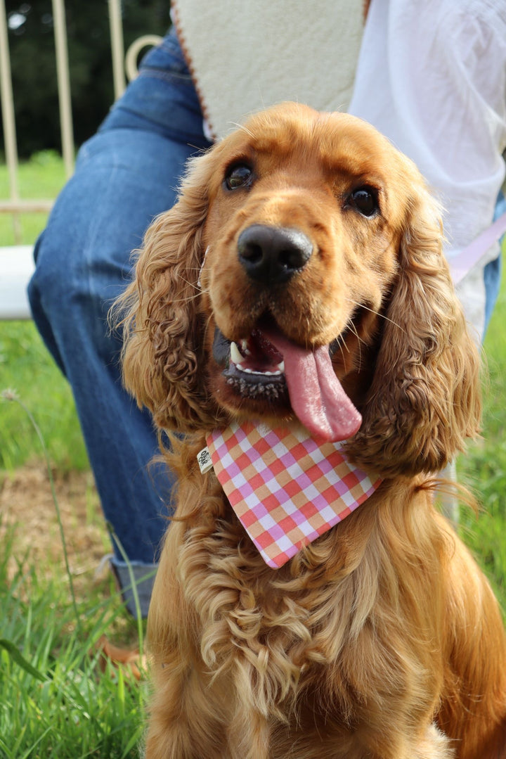 Bandana Vanille