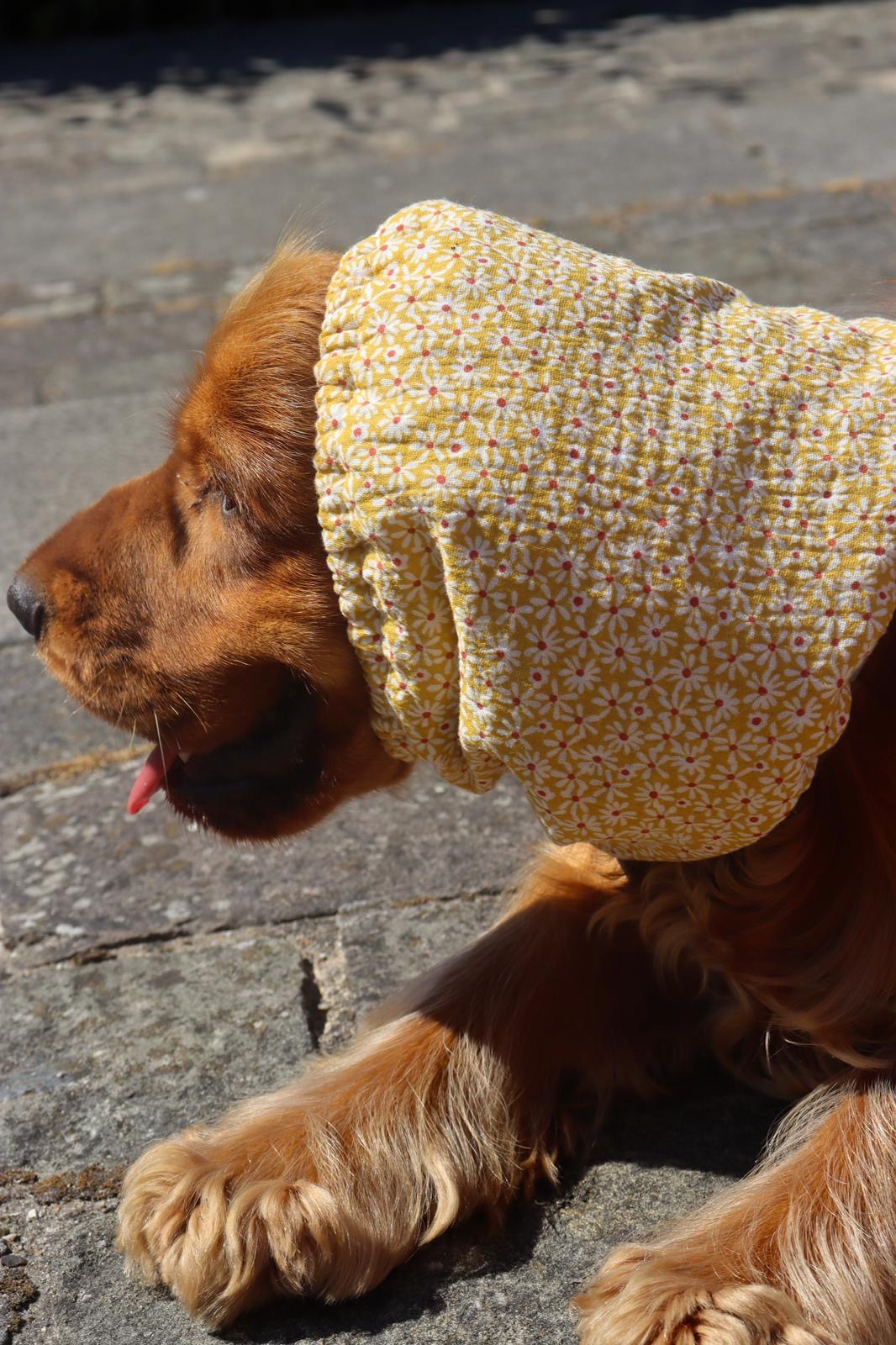 Snood Johanna
