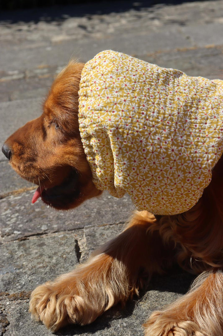 Snood Johanna