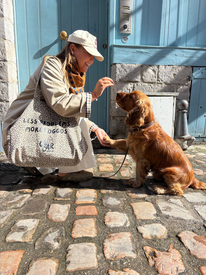 Sac de balade léopard