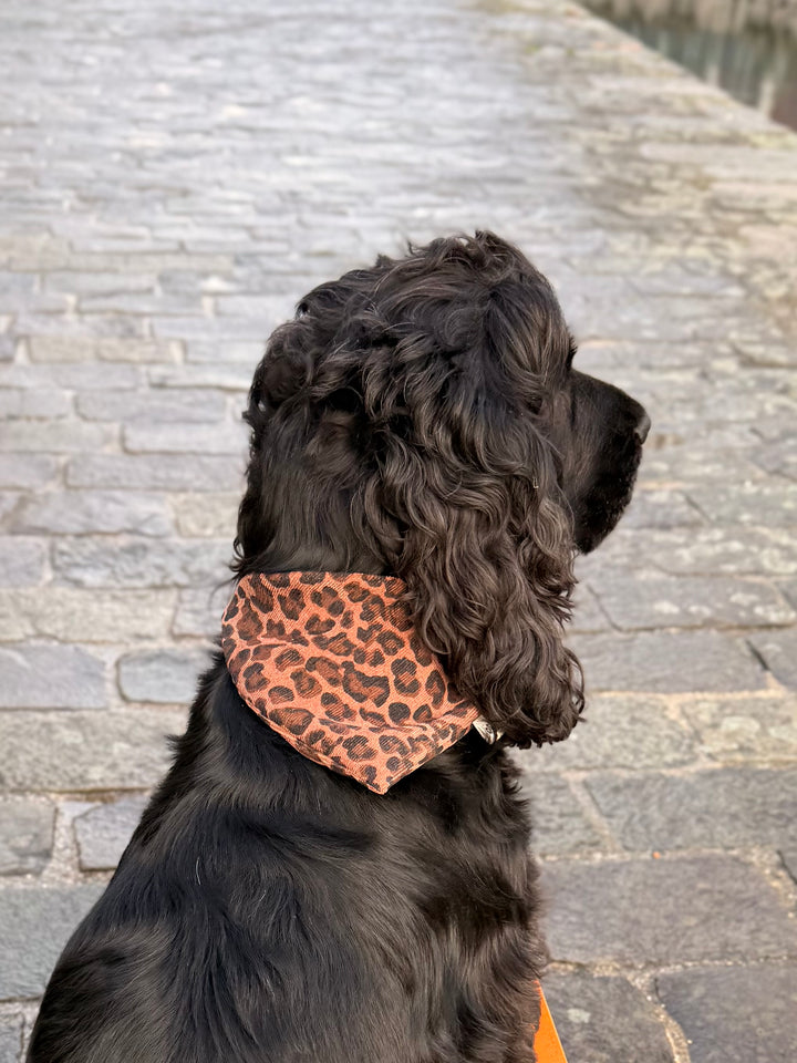 Bandana velours Léo