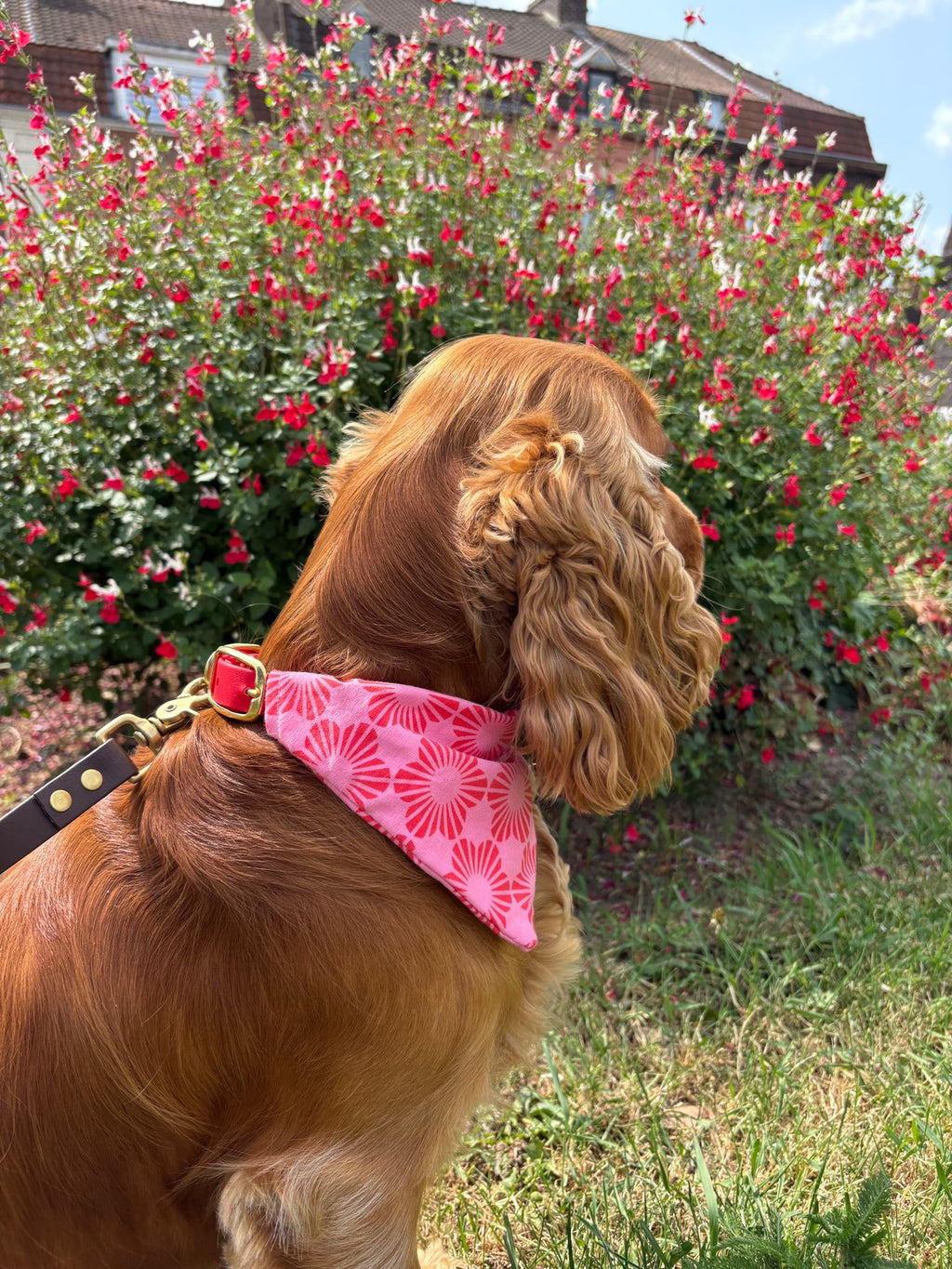 Bandana Romane
