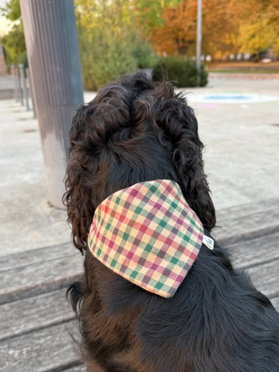 Bandana Victor