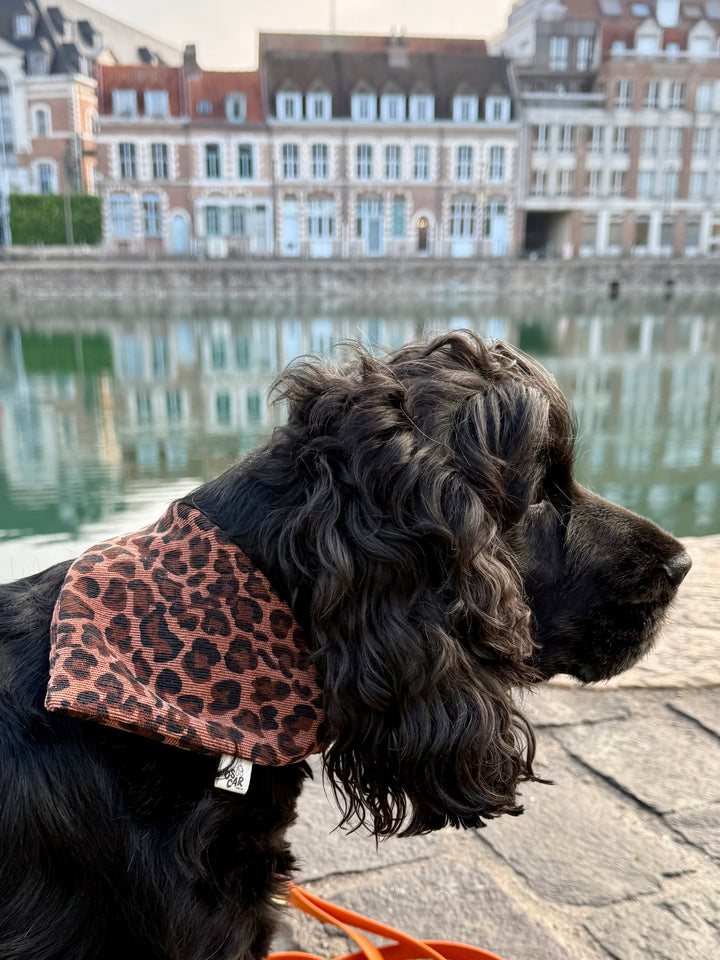 Bandana velours Léo