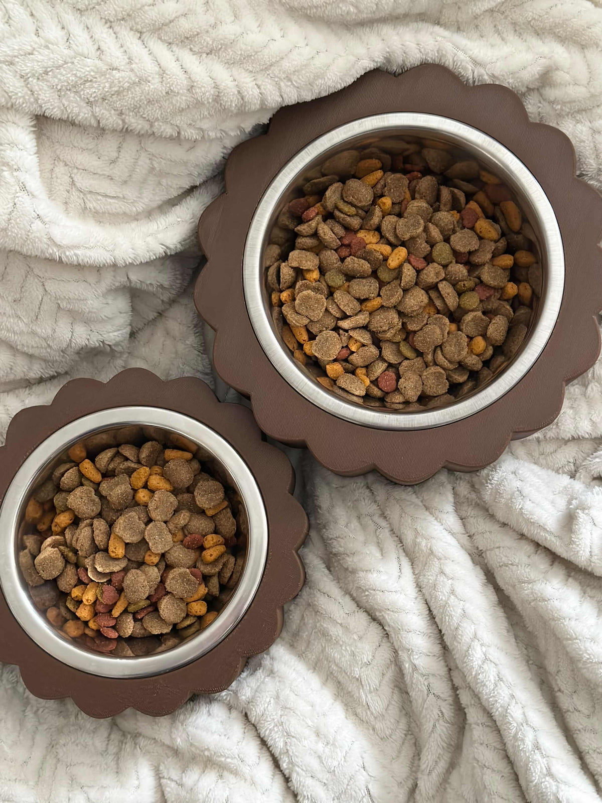 Gamelle Chocolat