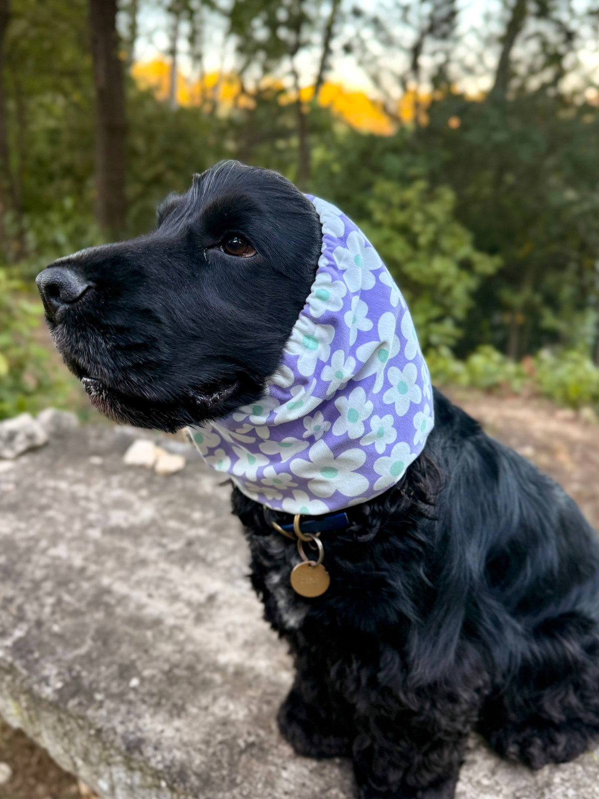 Snood Violette