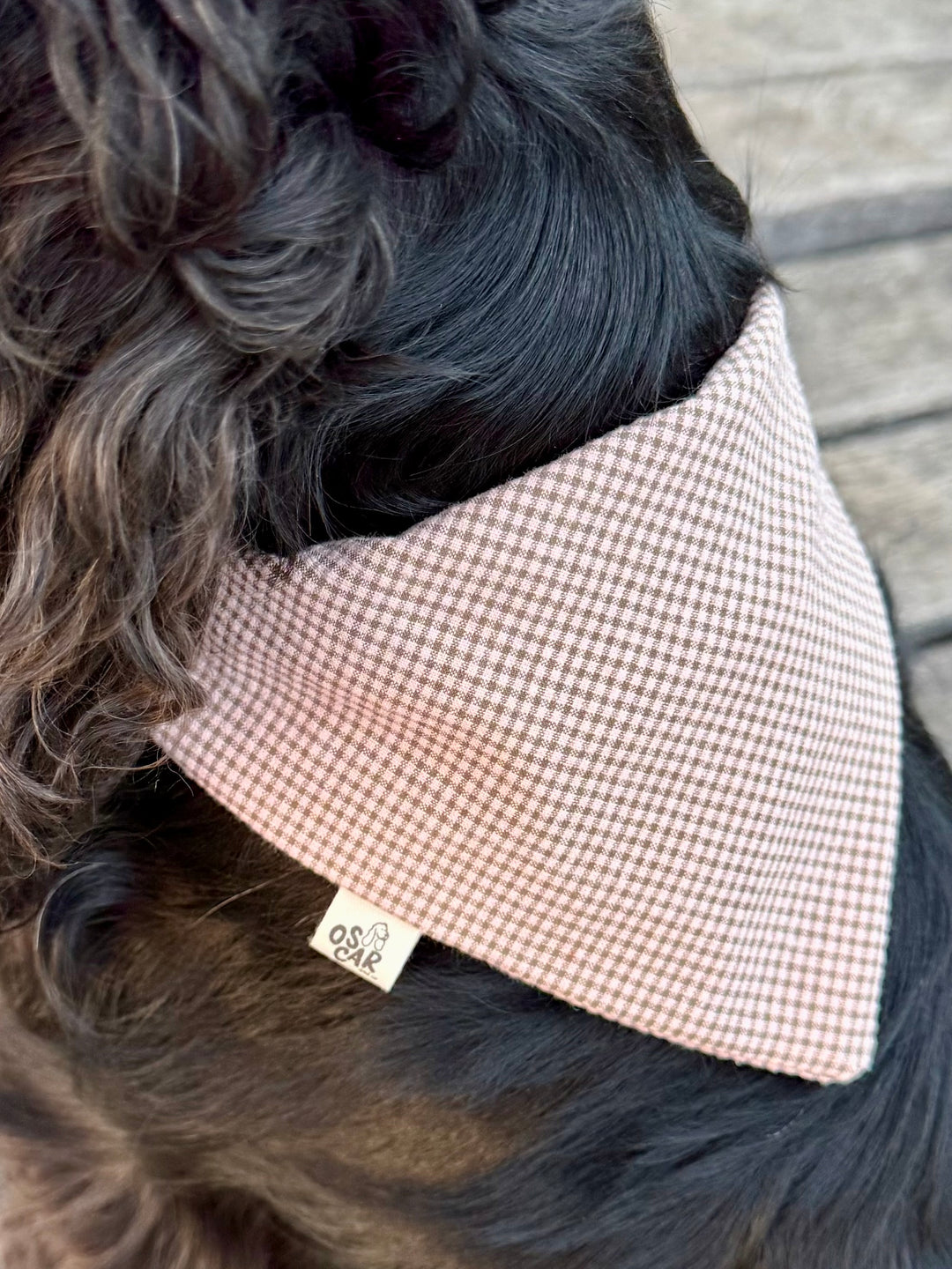 Bandana Vicky