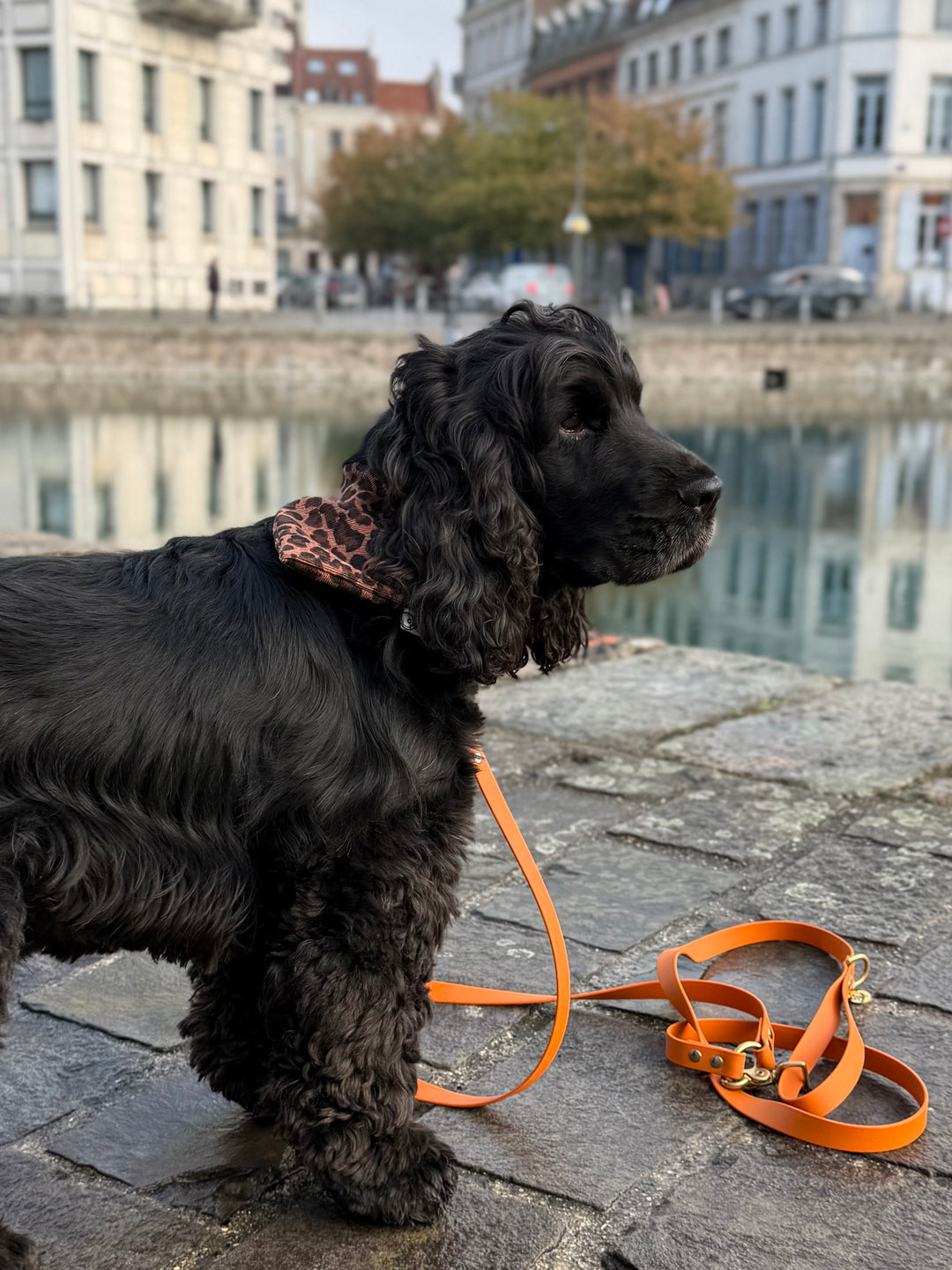 Bandana velours Léo