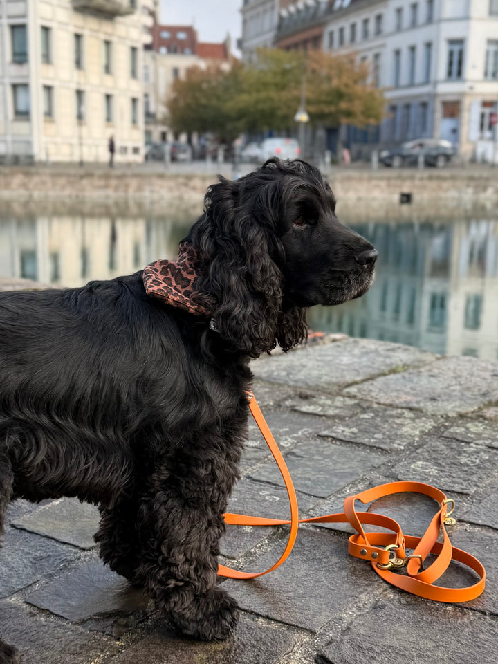 Bandana velours Léo