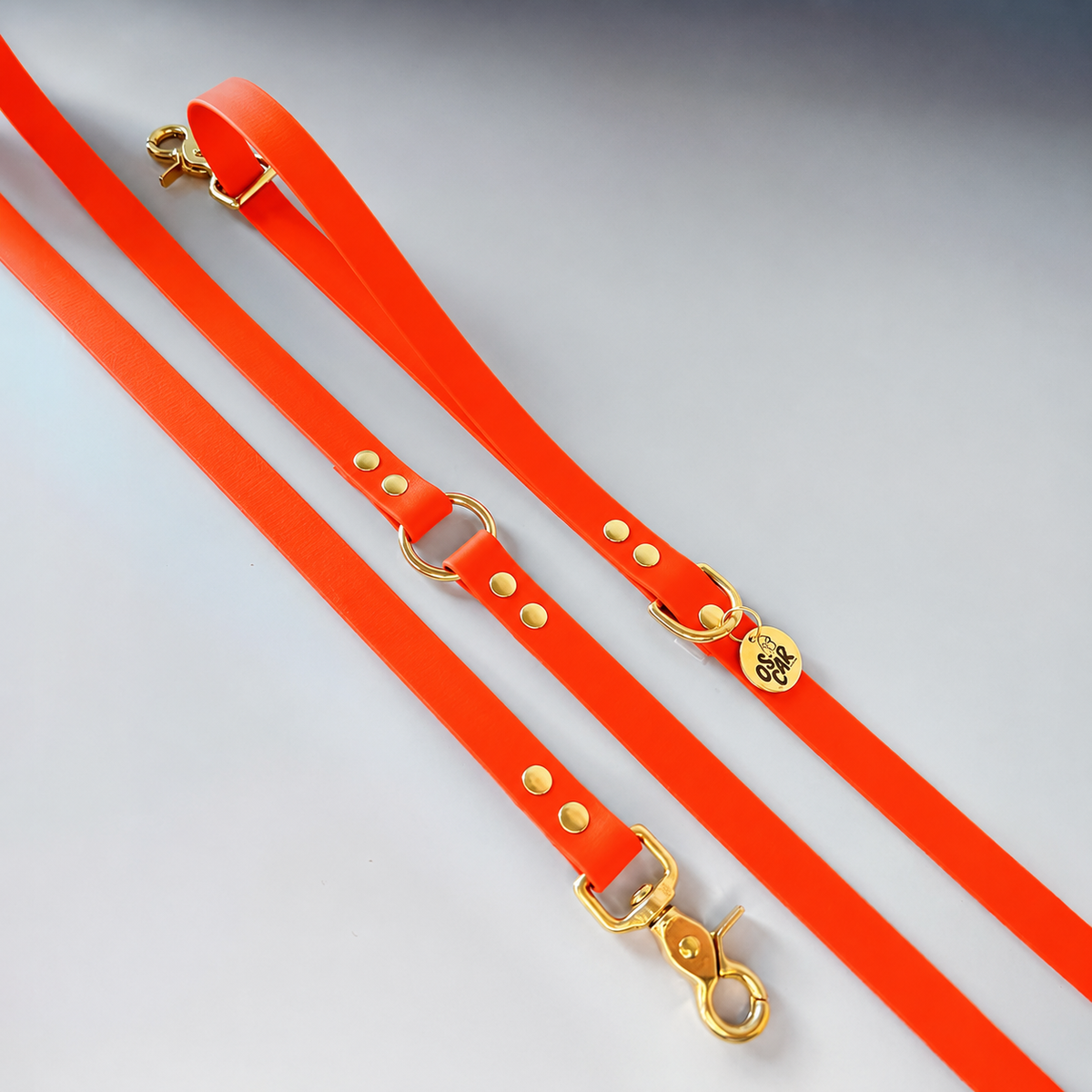 Laisse multi-positions orange Capsule Été26