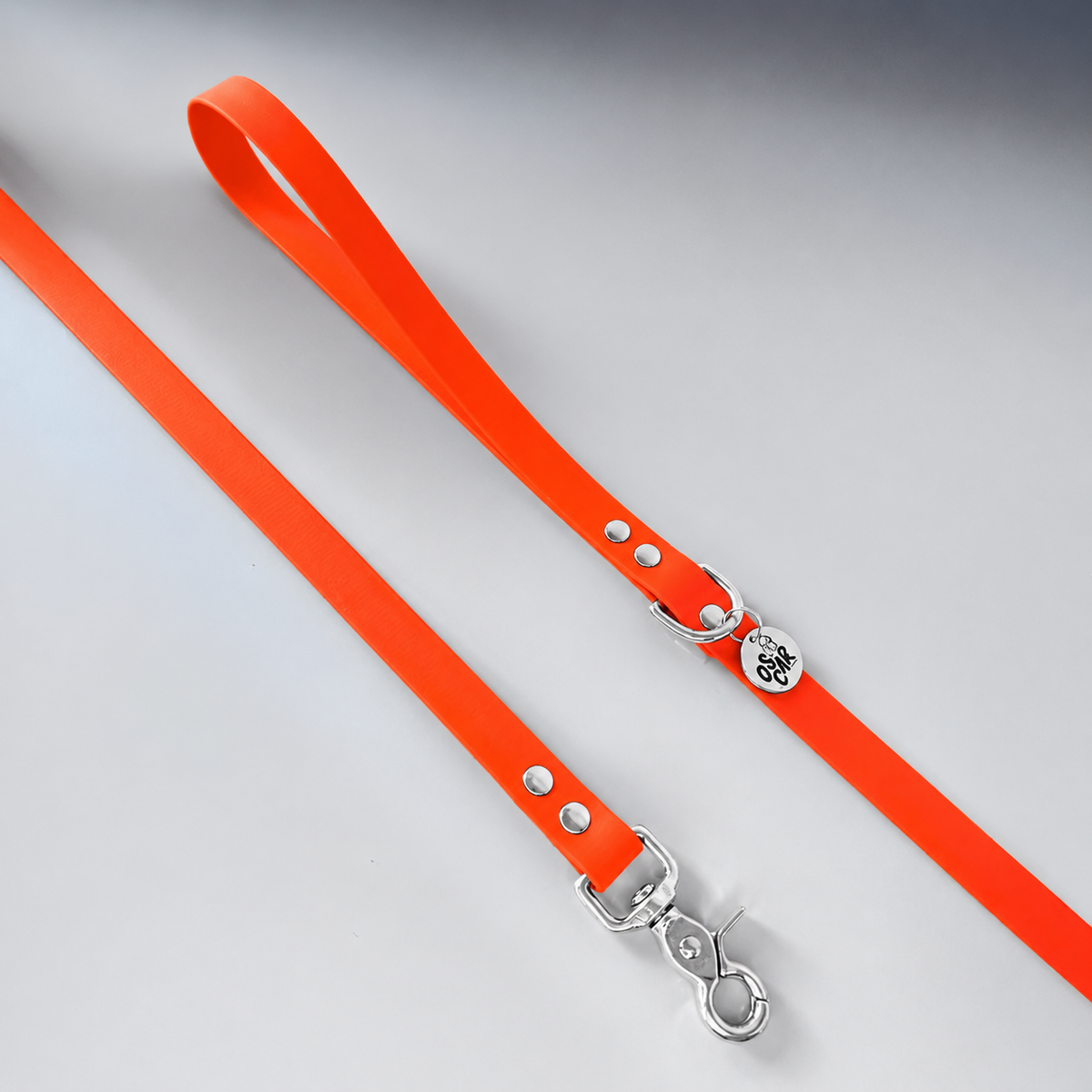 Laisse orange Capsule Été26