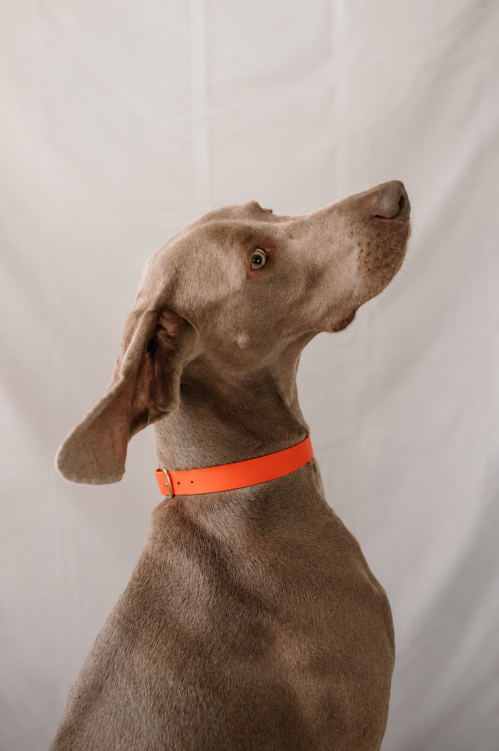 Collier orange Capsule Été26