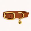 Collier Camel