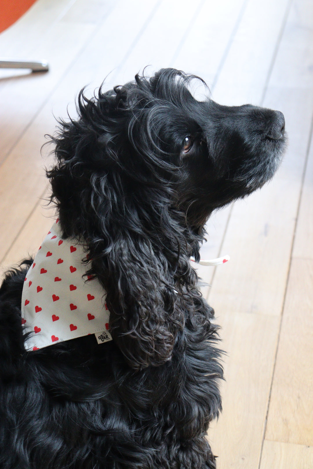 Capsule Saint Valenchien : bandana à nouer + chouchou