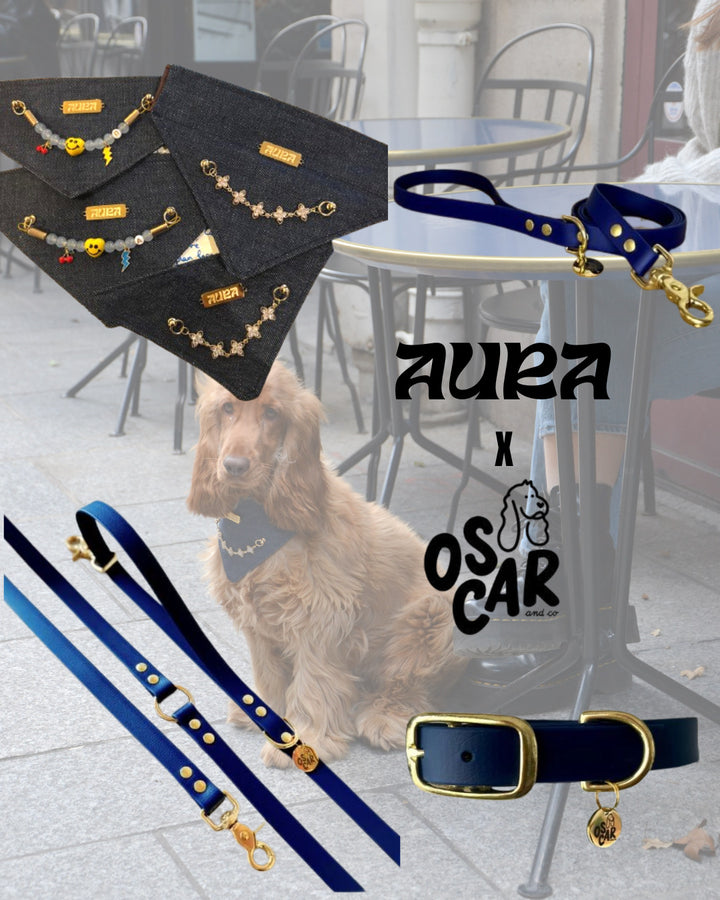 Pack Bandana Aura x Oscar & Co