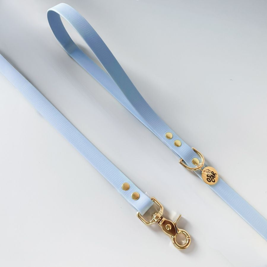 Laisse bleu pastel