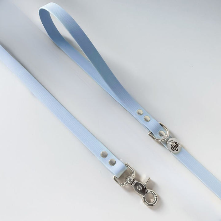 Laisse bleu pastel