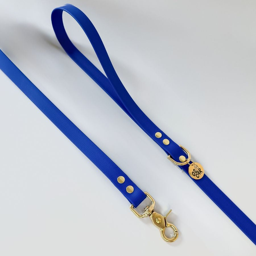 Laisse bleu roi