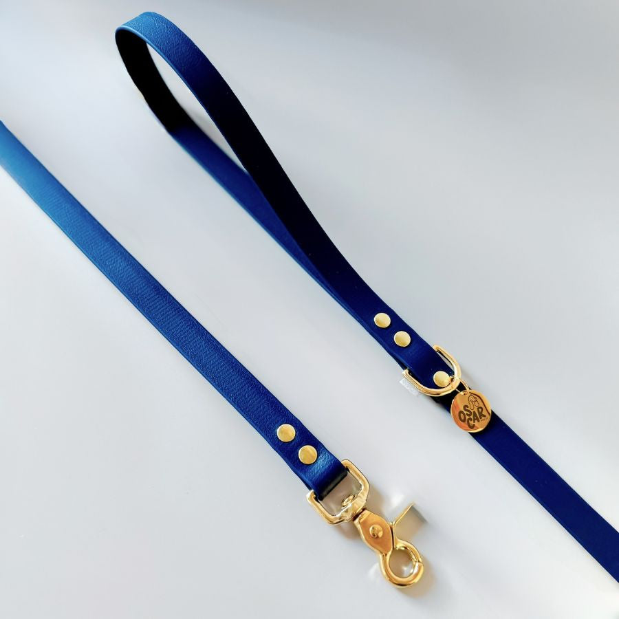 Laisse Navy