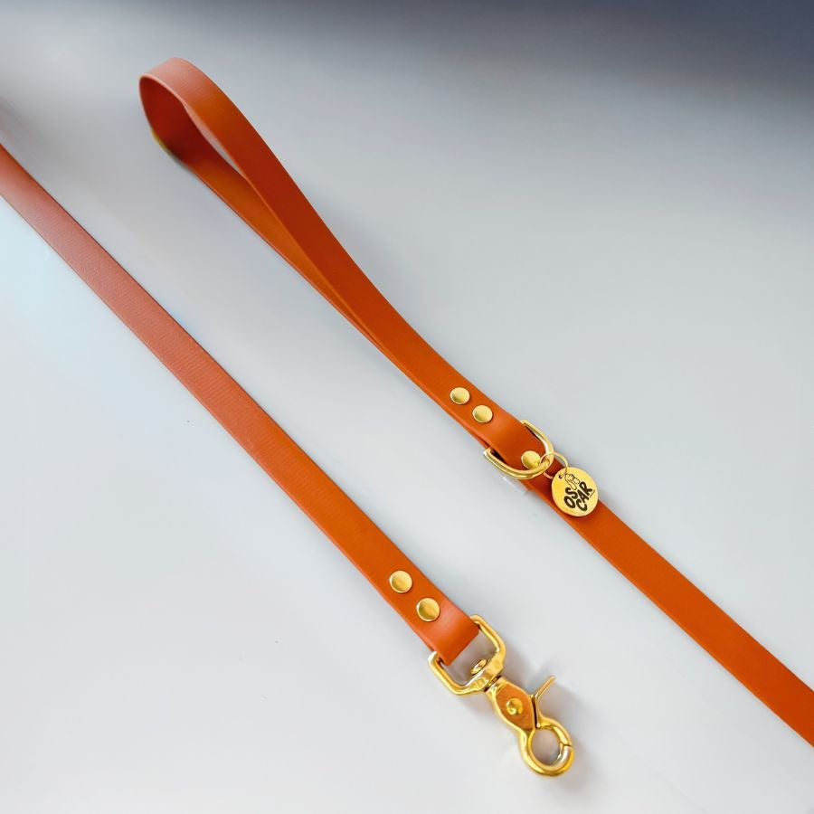 Laisse orange