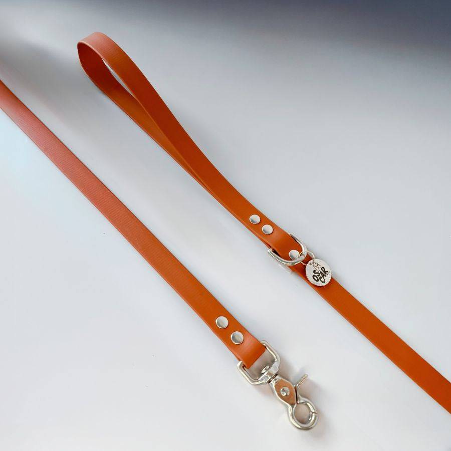 Laisse orange