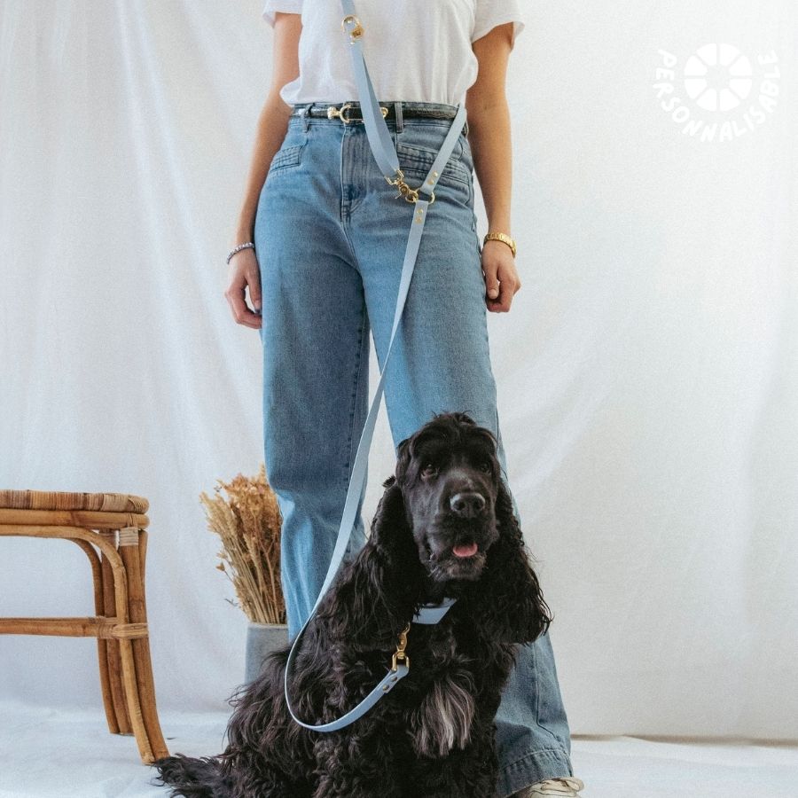 Laisse multi-positions Bleu Pastel