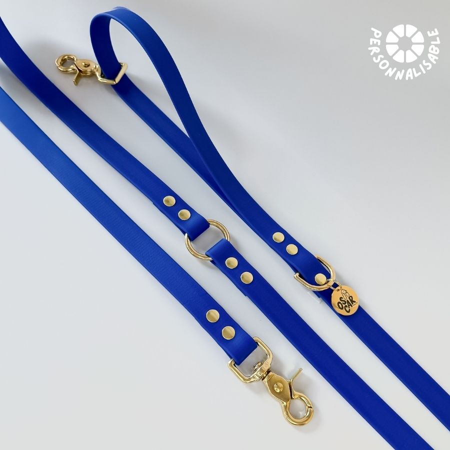 Laisse multi-positions Bleu Roi