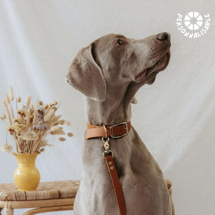 Laisse multi-positions Camel