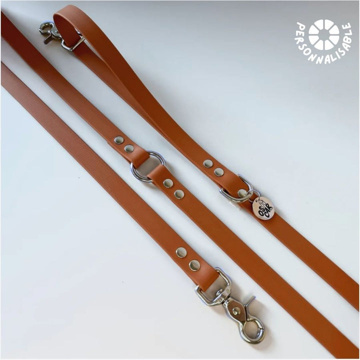 Laisse multi-positions Camel