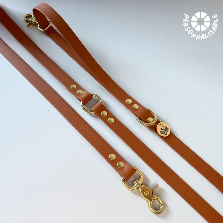 Laisse multi-positions Camel